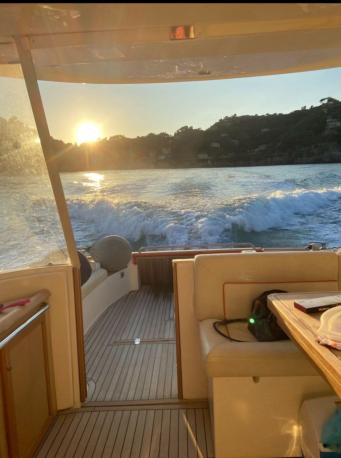 mochi craft Mochi 44 dolphin