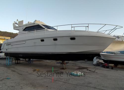 Raffaelli typhoon fly