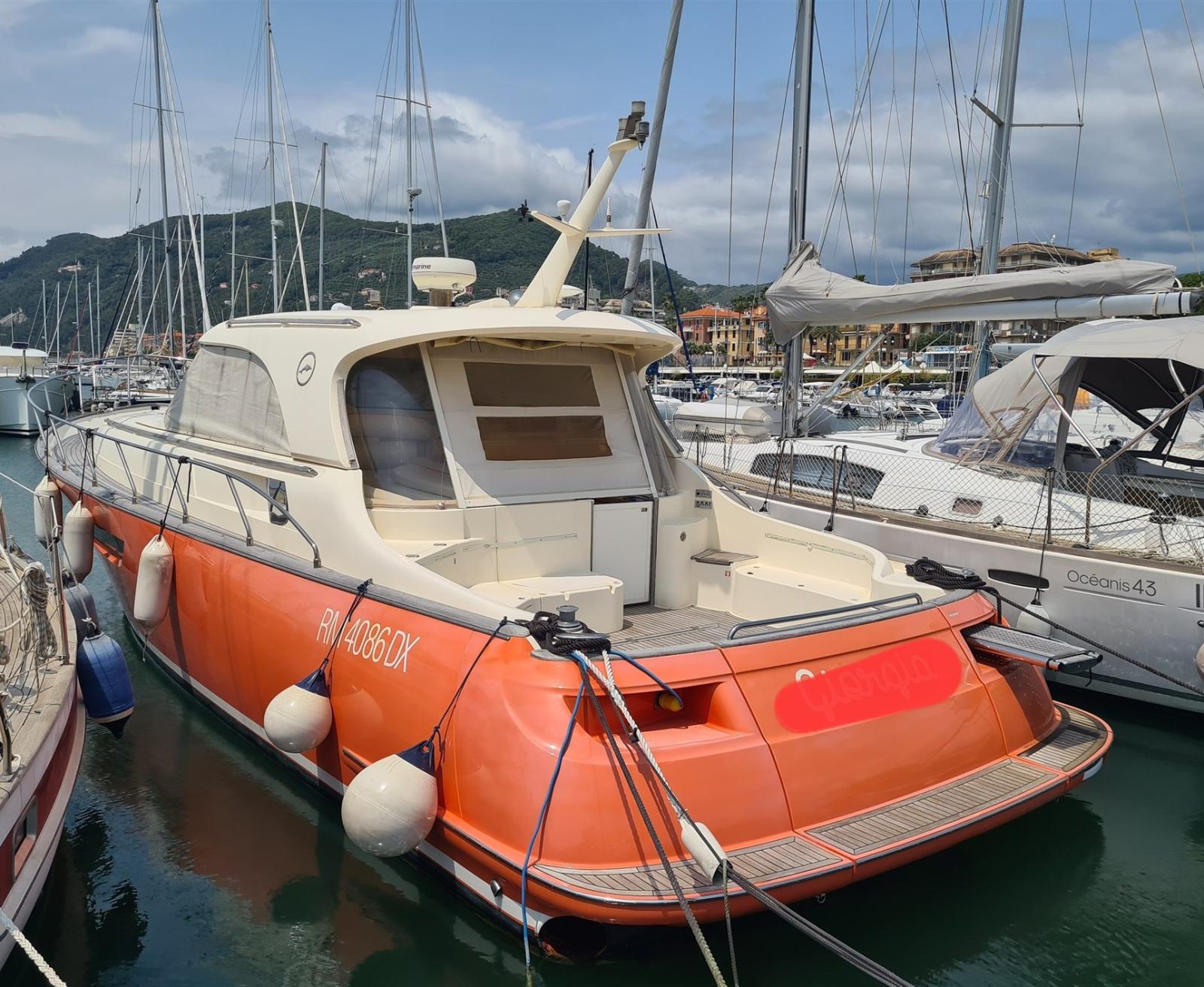 mochi craft Mochi 44 dolphin