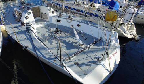 Carroll marine mumm 36