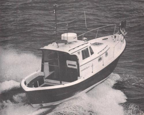Catarsi calafuria 98
