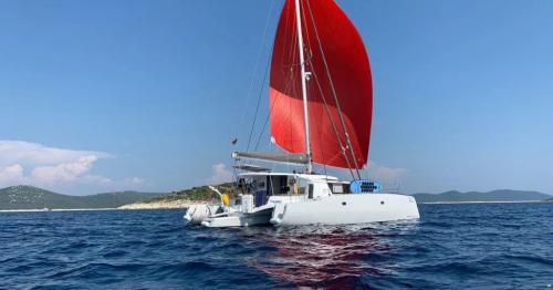 Neel neel 45 evolution