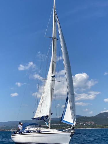 dehler 37' cws