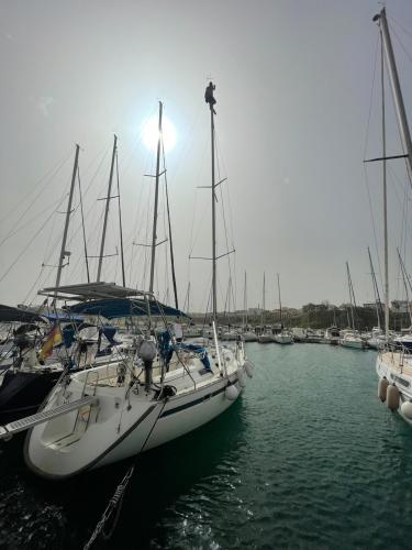 Bavaria yachts bavaria 35 holiday