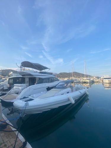 Sacs tecnorib pirelli 42