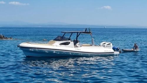 Salpa soleil 33