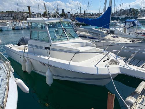 White shark 226 timonier