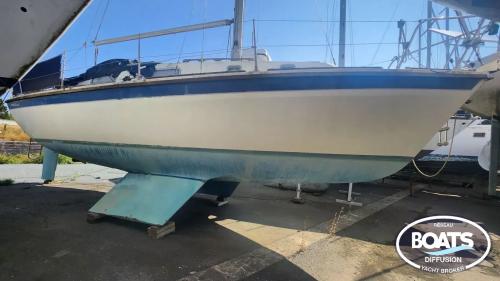 westerly konsort