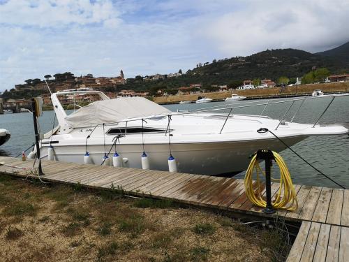 Sea ray 290 da