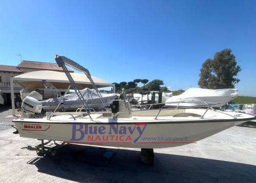 Boston whaler 17 montauk + evinrude e tec 90cv 2006