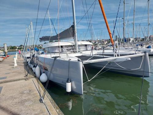 Excess catamarans 14